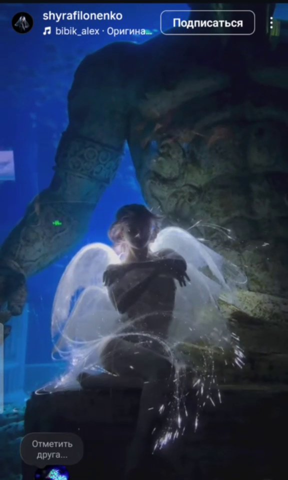 Референс: крылья феи под водой